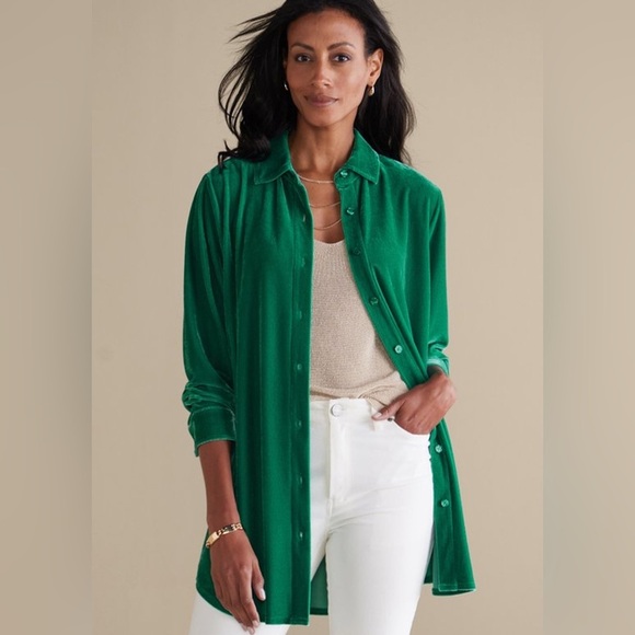 NWT Soft Surroundings Velvet Boyfriend Tunic Top Women’s S Button Up Green Boho - Picture 2 of 11